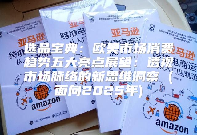 选品宝典：欧美市场消费趋势五大亮点展望：透视市场脉络的新思维洞察 (面向2025年)