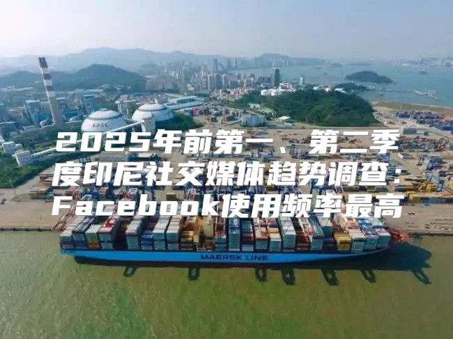 2025年前第一、第二季度印尼社交媒体趋势调查：Facebook使用频率最高