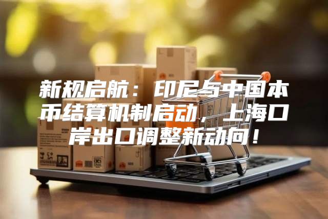 新规启航：印尼与中国本币结算机制启动，上海口岸出口调整新动向！