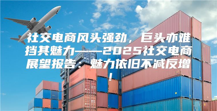 社交电商风头强劲，巨头亦难挡其魅力——2025社交电商展望报告：魅力依旧不减反增！