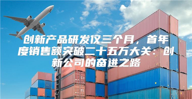 创新产品研发仅三个月，首年度销售额突破二十五万大关：创新公司的奋进之路