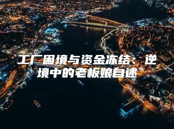 工厂困境与资金冻结：逆境中的老板娘自述