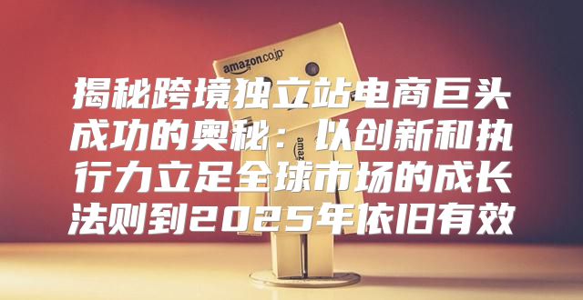 揭秘跨境独立站电商巨头成功的奥秘：以创新和执行力立足全球市场的成长法则到2025年依旧有效