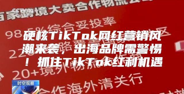 硬核TikTok网红营销风潮来袭，出海品牌需警惕！抓住TikTok红利机遇