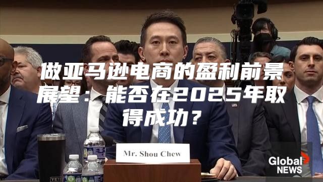 做亚马逊电商的盈利前景展望：能否在2025年取得成功？