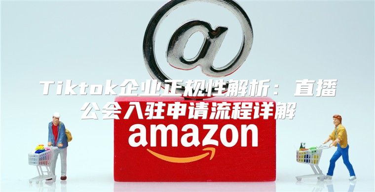 Tiktok企业正规性解析：直播公会入驻申请流程详解