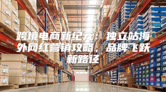 跨境电商新纪元：独立站海外网红营销攻略，品牌飞跃新路径