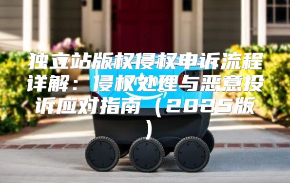独立站版权侵权申诉流程详解：侵权处理与恶意投诉应对指南2025版