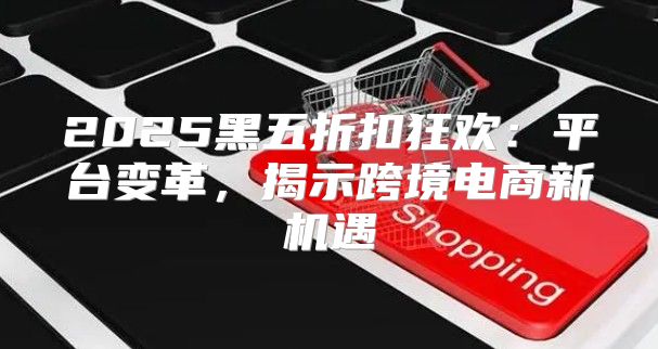 2025黑五折扣狂欢：平台变革，揭示跨境电商新机遇
