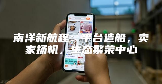 南洋新航程：平台造船，卖家扬帆，生态繁荣中心