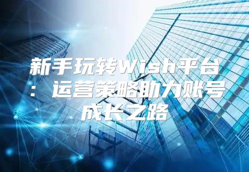 新手玩转Wish平台：运营策略助力账号成长之路