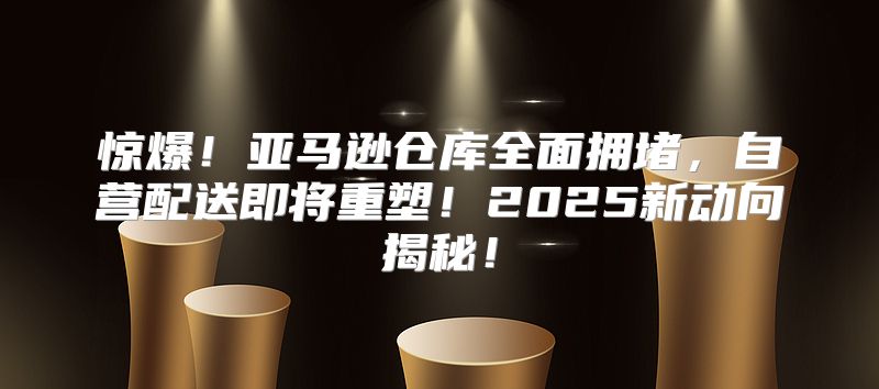 惊爆！亚马逊仓库全面拥堵，自营配送即将重塑！2025新动向揭秘！