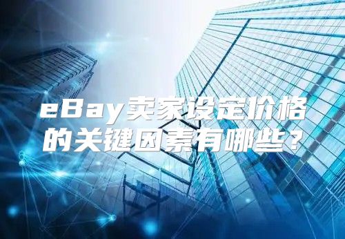 eBay卖家设定价格的关键因素有哪些？