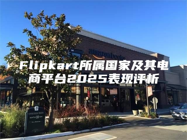 Flipkart所属国家及其电商平台2025表现评析
