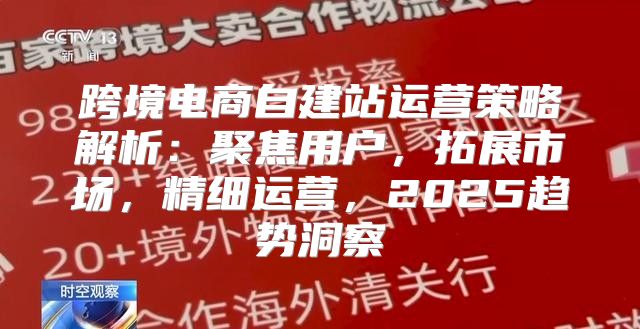 跨境电商自建站运营策略解析：聚焦用户，拓展市场，精细运营，2025趋势洞察