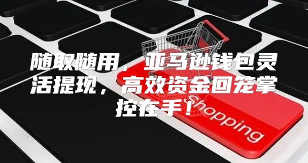 随取随用，亚马逊钱包灵活提现，高效资金回笼掌控在手！