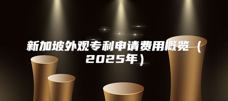 新加坡外观专利申请费用概览2025年