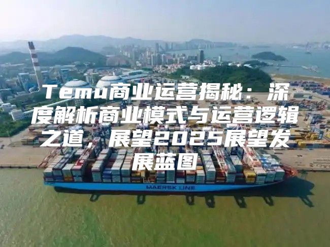 Temu商业运营揭秘：深度解析商业模式与运营逻辑之道，展望2025展望发展蓝图