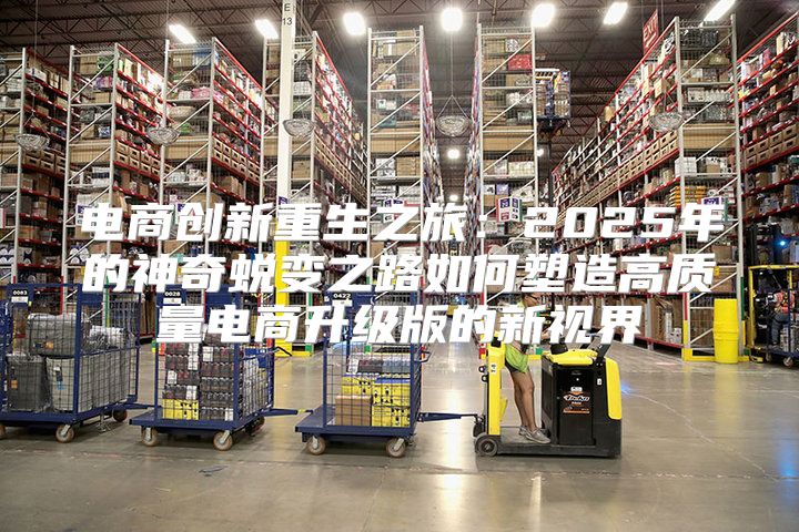 电商创新重生之旅：2025年的神奇蜕变之路如何塑造高质量电商升级版的新视界