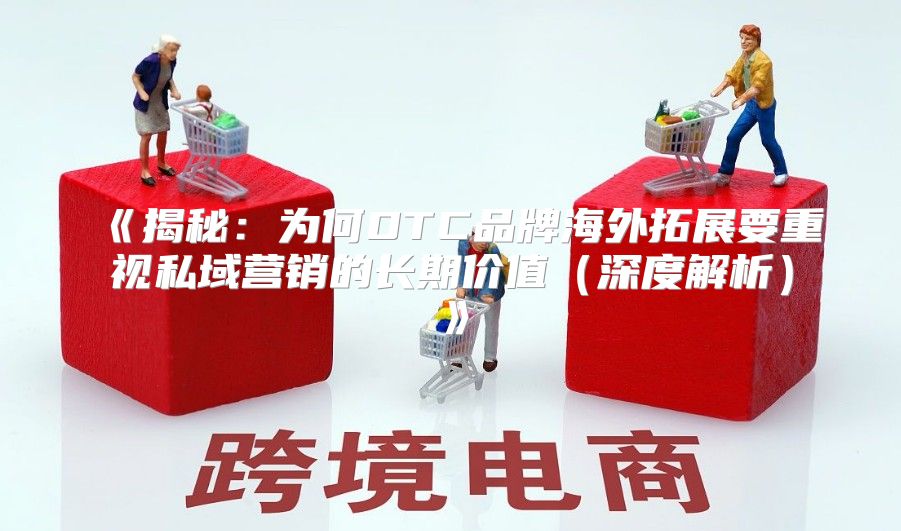 揭秘：为何DTC品牌海外拓展要重视私域营销的长期价值深度解析