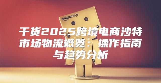 干货2025跨境电商沙特市场物流概览：操作指南与趋势分析