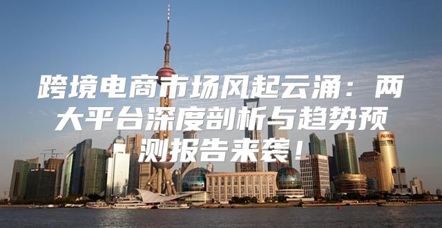 跨境电商市场风起云涌：两大平台深度剖析与趋势预测报告来袭！