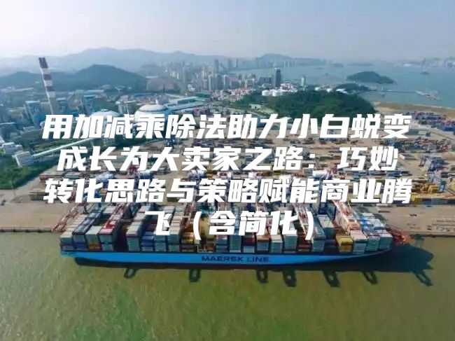 用加减乘除法助力小白蜕变成长为大卖家之路：巧妙转化思路与策略赋能商业腾飞含简化