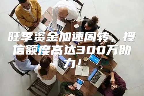 旺季资金加速周转，授信额度高达300万助力！