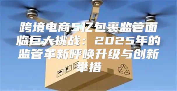 跨境电商5亿包裹监管面临巨大挑战：2025年的监管革新呼唤升级与创新举措