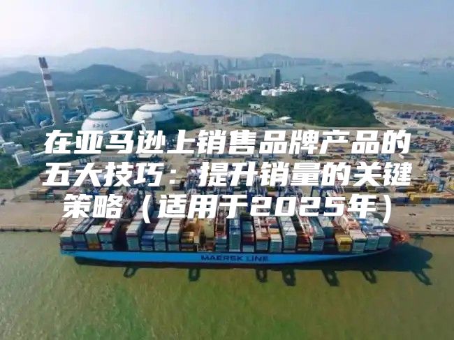 在亚马逊上销售品牌产品的五大技巧：提升销量的关键策略适用于2025年