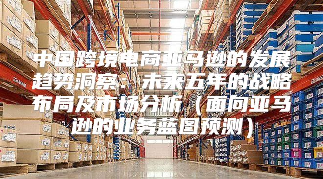 中国跨境电商亚马逊的发展趋势洞察：未来五年的战略布局及市场分析面向亚马逊的业务蓝图预测