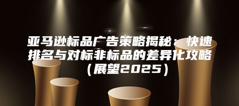 亚马逊标品广告策略揭秘：快速排名与对标非标品的差异化攻略展望2025