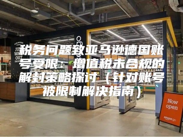税务问题致亚马逊德国账号受限：增值税未合规的解封策略探讨针对账号被限制解决指南