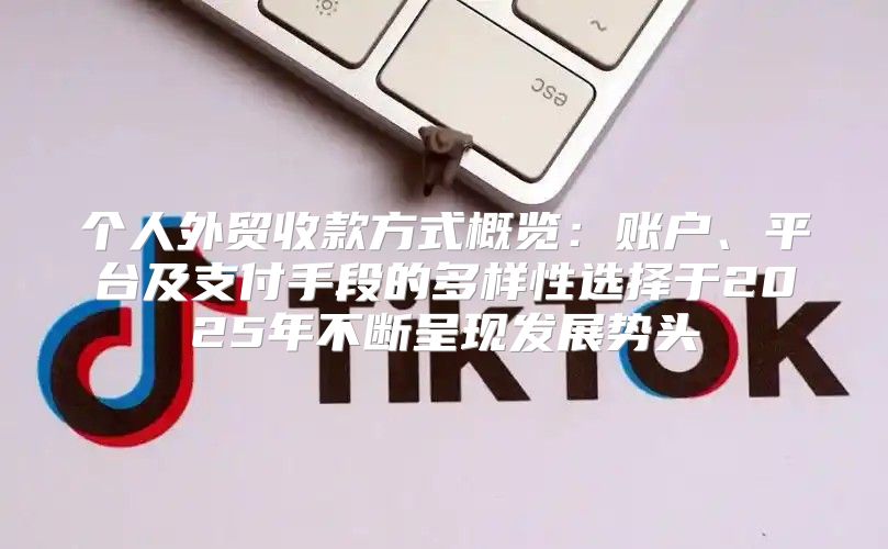 个人外贸收款方式概览：账户、平台及支付手段的多样性选择于2025年不断呈现发展势头