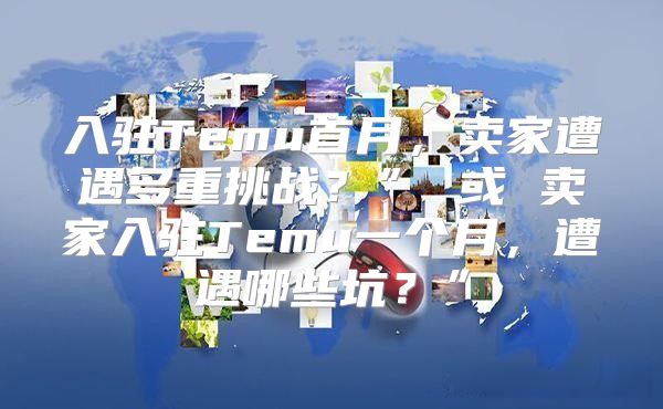 入驻Temu首月，卖家遭遇多重挑战？” 或 卖家入驻Temu一个月，遭遇哪些坑？”