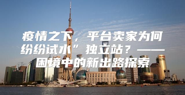 疫情之下，平台卖家为何纷纷试水”独立站？——困境中的新出路探索