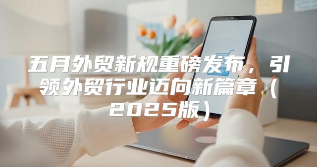 五月外贸新规重磅发布，引领外贸行业迈向新篇章2025版