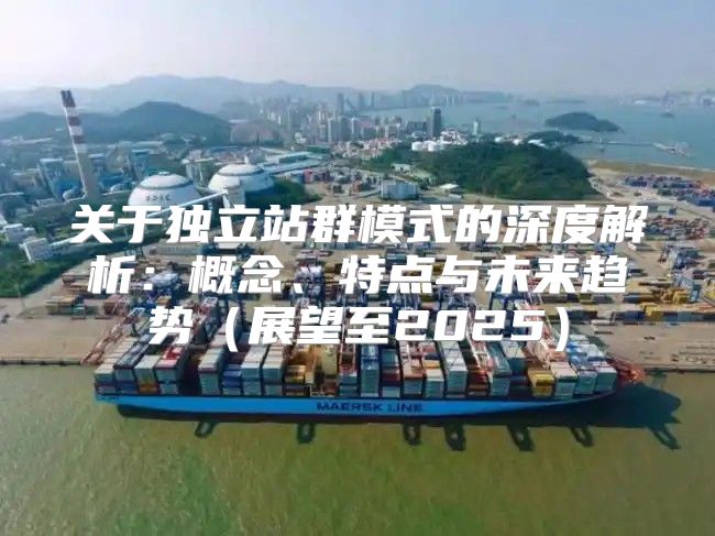 关于独立站群模式的深度解析：概念、特点与未来趋势展望至2025