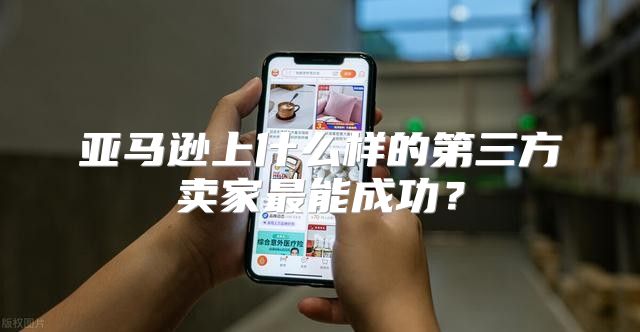 亚马逊上什么样的第三方卖家最能成功？