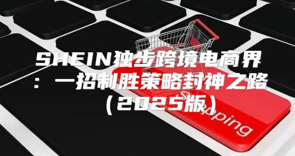 SHEIN独步跨境电商界：一招制胜策略封神之路2025版