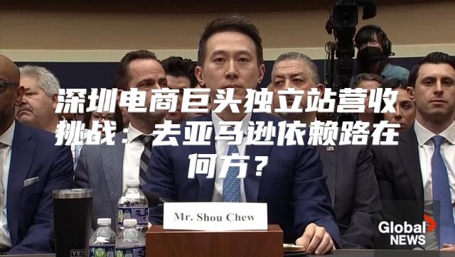 深圳电商巨头独立站营收挑战：去亚马逊依赖路在何方？