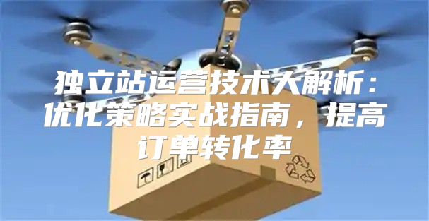 独立站运营技术大解析：优化策略实战指南，提高订单转化率