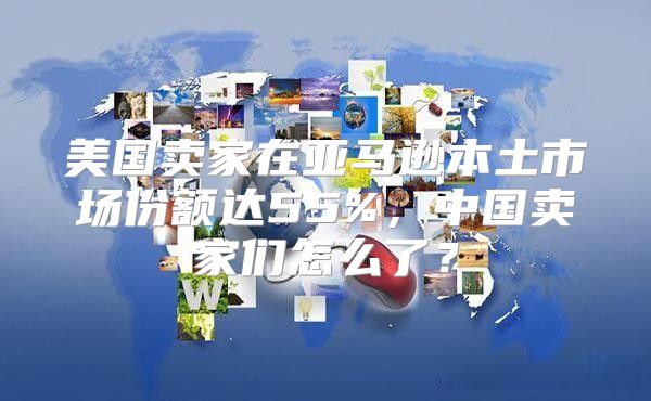 美国卖家在亚马逊本土市场份额达55%，中国卖家们怎么了？