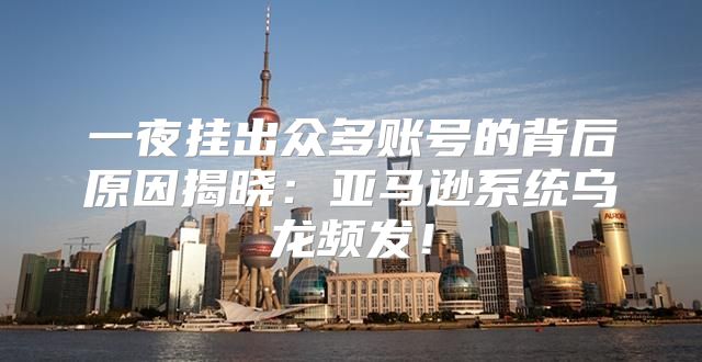 一夜挂出众多账号的背后原因揭晓：亚马逊系统乌龙频发！