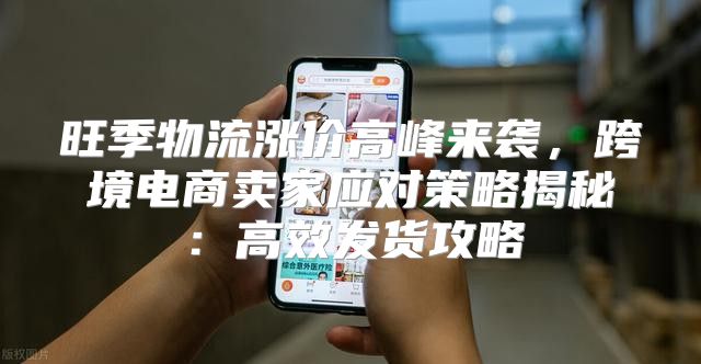 旺季物流涨价高峰来袭，跨境电商卖家应对策略揭秘：高效发货攻略