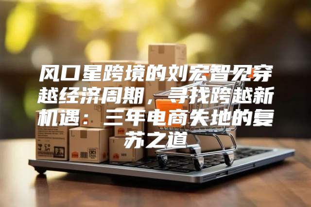 风口星跨境的刘宏智见穿越经济周期，寻找跨越新机遇：三年电商失地的复苏之道
