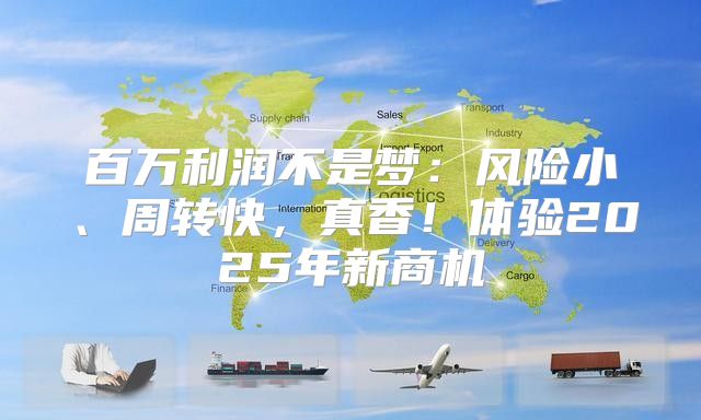 百万利润不是梦：风险小、周转快，真香！体验2025年新商机