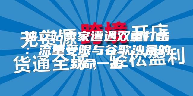 独立站卖家遭遇双重打击：流量受限与谷歌沙盒的致命一击