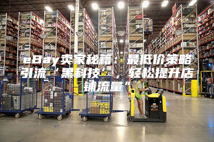 eBay卖家秘籍：最低价策略引流‘黑科技’，轻松提升店铺流量”