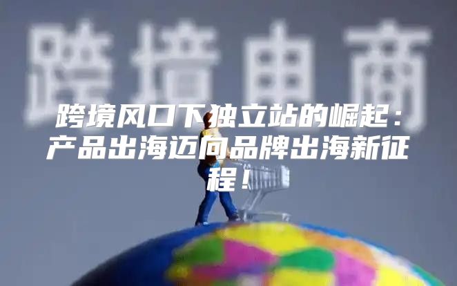 跨境风口下独立站的崛起：产品出海迈向品牌出海新征程！
